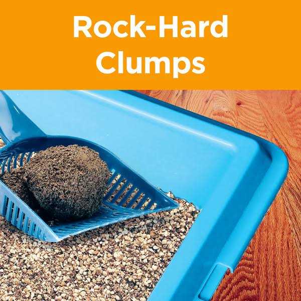 Arm & Hammer Clump & Seal AbsorbX Clumping Litter