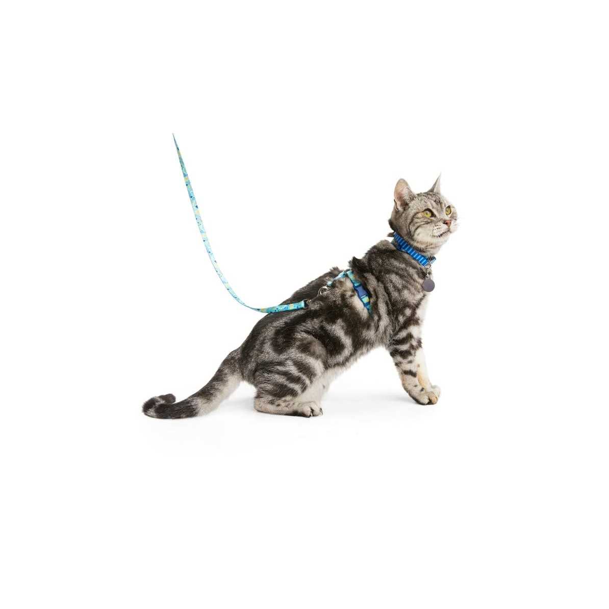 YOULY Kitten Harness & Lead