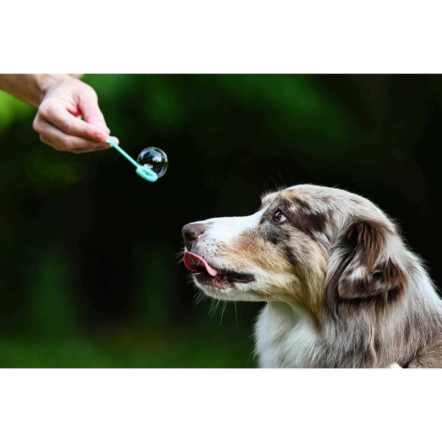 Puppy Love Bubbles Peanut Butter & Bacon Scented Bubbles 4oz. Bottle-2 Pack Combo for Dogs