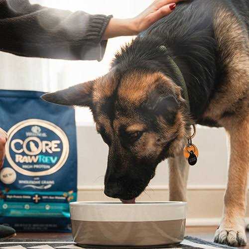 Wellness CORE RawRev Grain Free Whitefish Dog Food