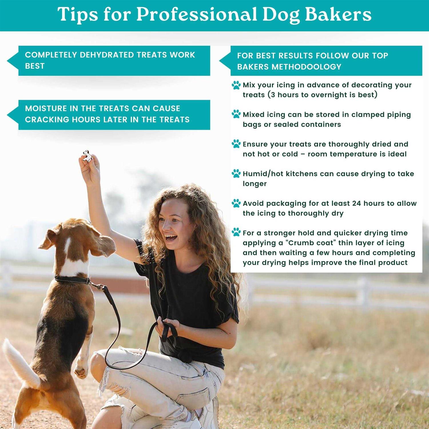 K9Cakery Magifrost Icing for Dog Treats Create Vibrantly and Dog-Safe Delights