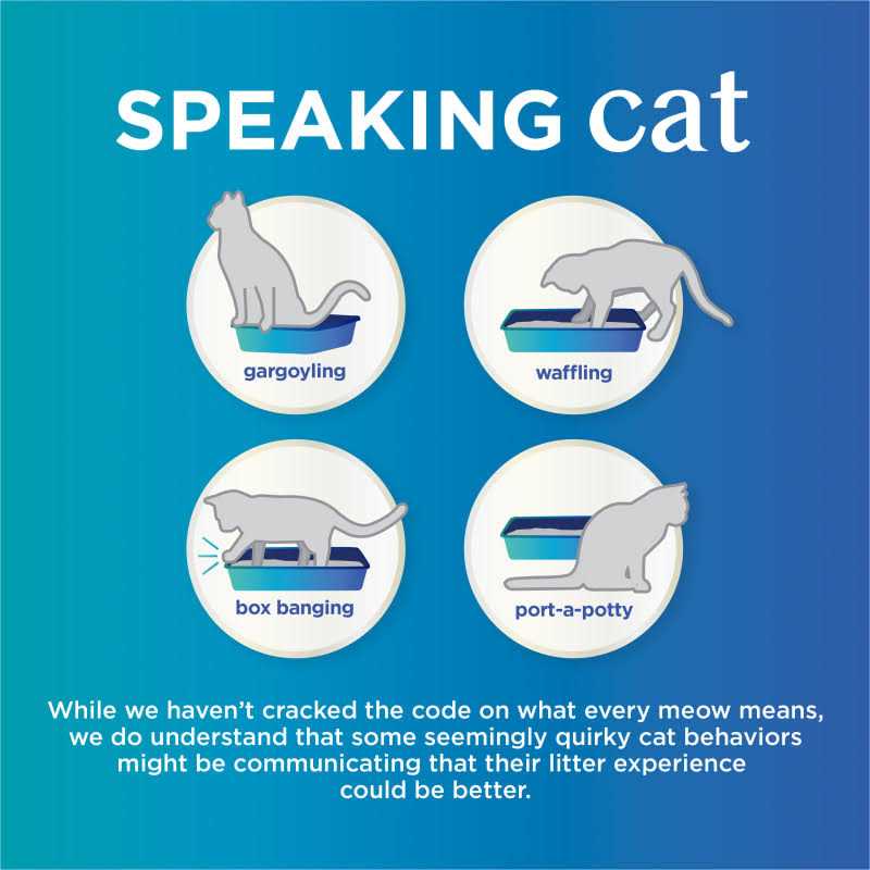 Purina Tidy Cats Tidy Care Comfort Unscented Odor Control Clumping Cat Litter