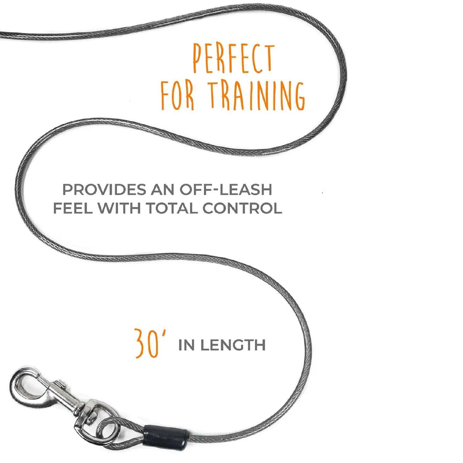 Mighty Paw Dog Tie Out Cable