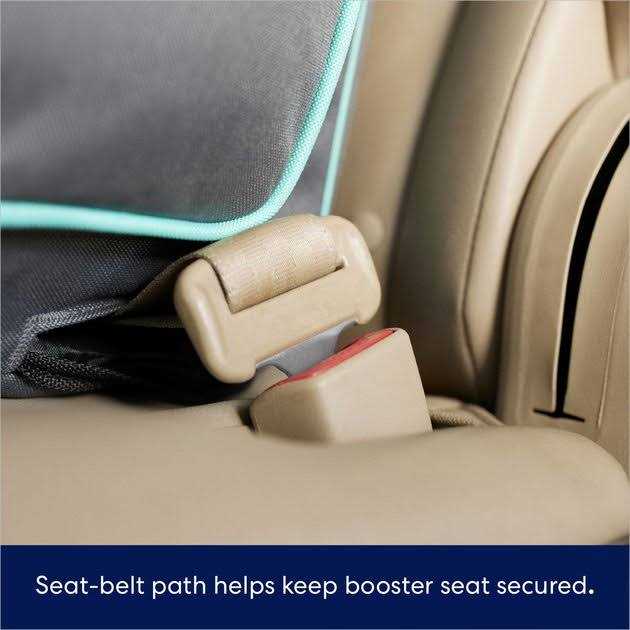 Frisco Travel Dog Bucket Booster Seat