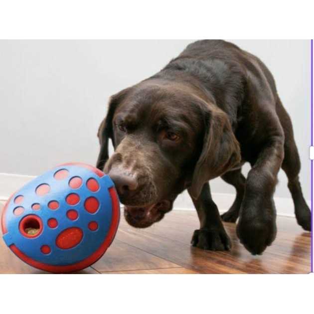 JW Pet Hol-ee Giggler Dog Toy