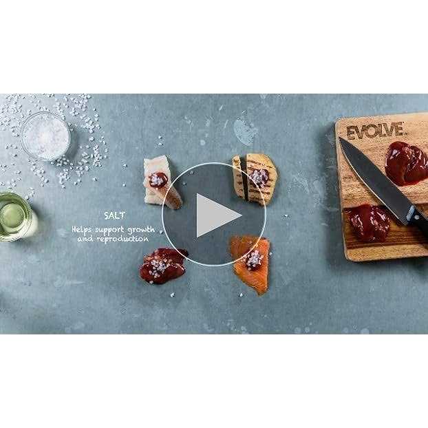 Evolve Classic Crafted Meals Liver Recipe Wet Cat Food