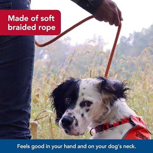 Water & Woods Braided Rope Dog Slip Leash
