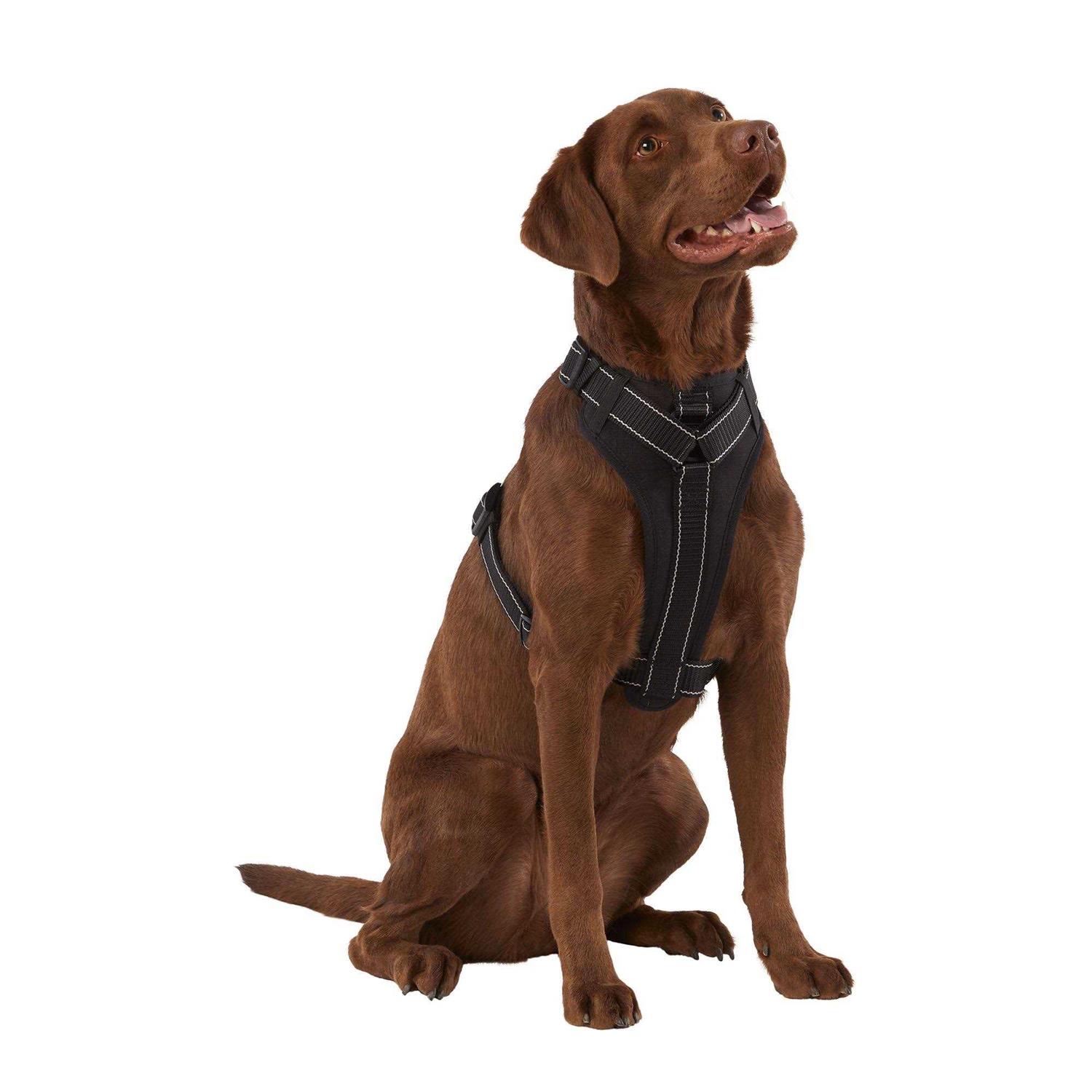 KONG MAX Neoprene Padded Dog Harness