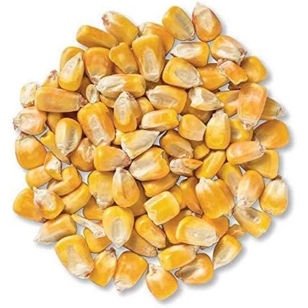 CountryMax Bulk Whole Corn for Wildlife Feeding