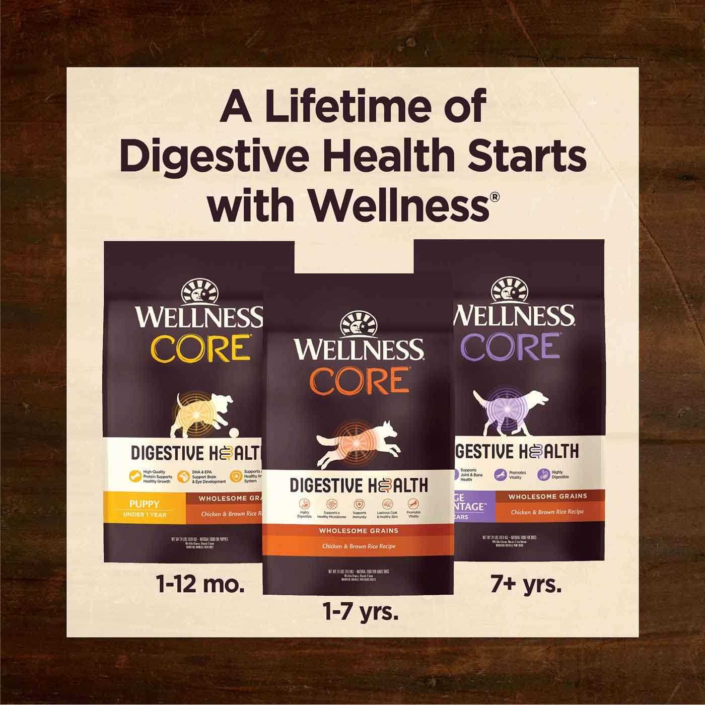 Wellness Core Digestive Health Senior Dry Dog Food