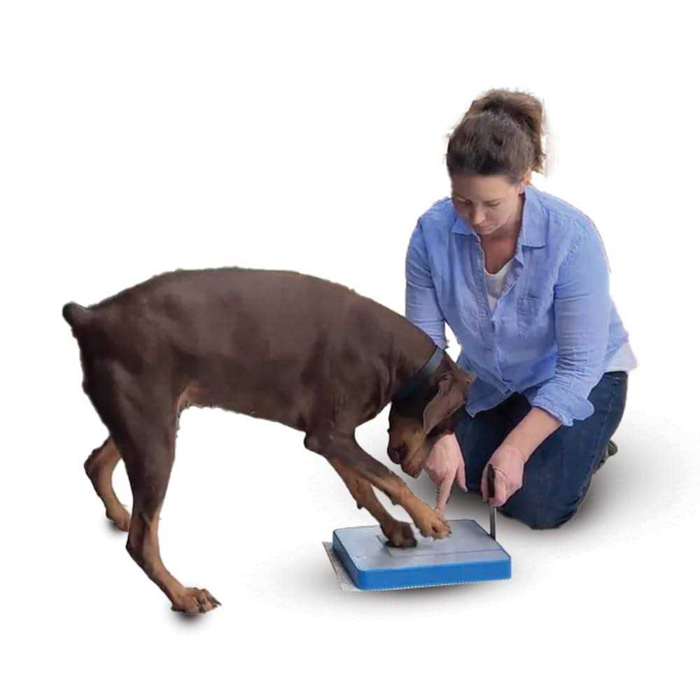 Digger Dog Nail File Board Stress Free Alternative to Dog Nail Clippers and Dog Nail Grinders