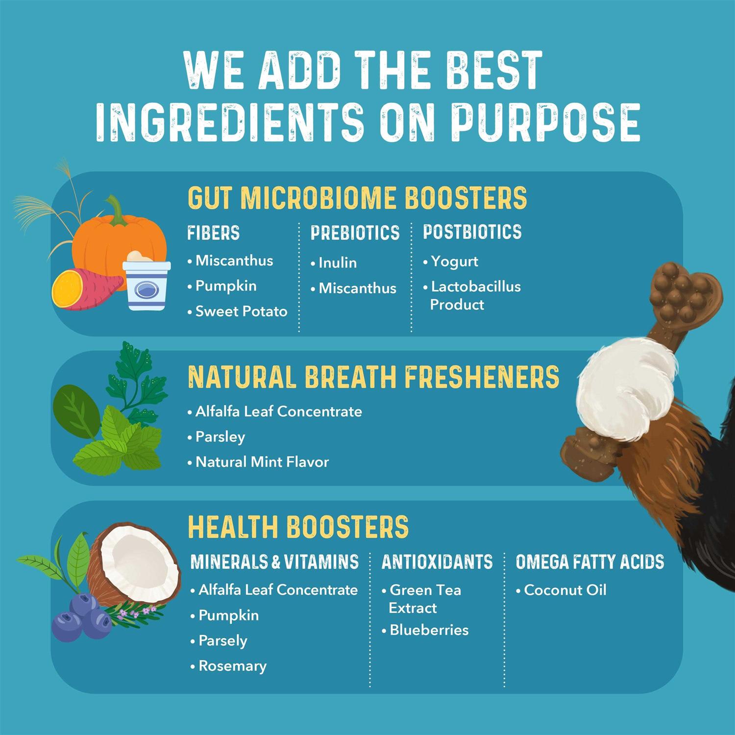 Bernie’s Charming Chompers Daily Dental Chews Dogs