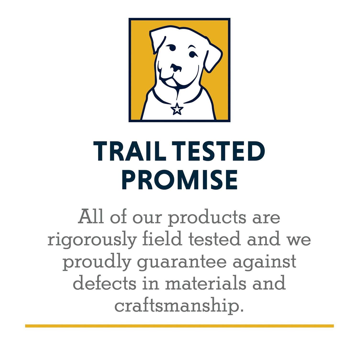 Ruffwear Trail Runner System