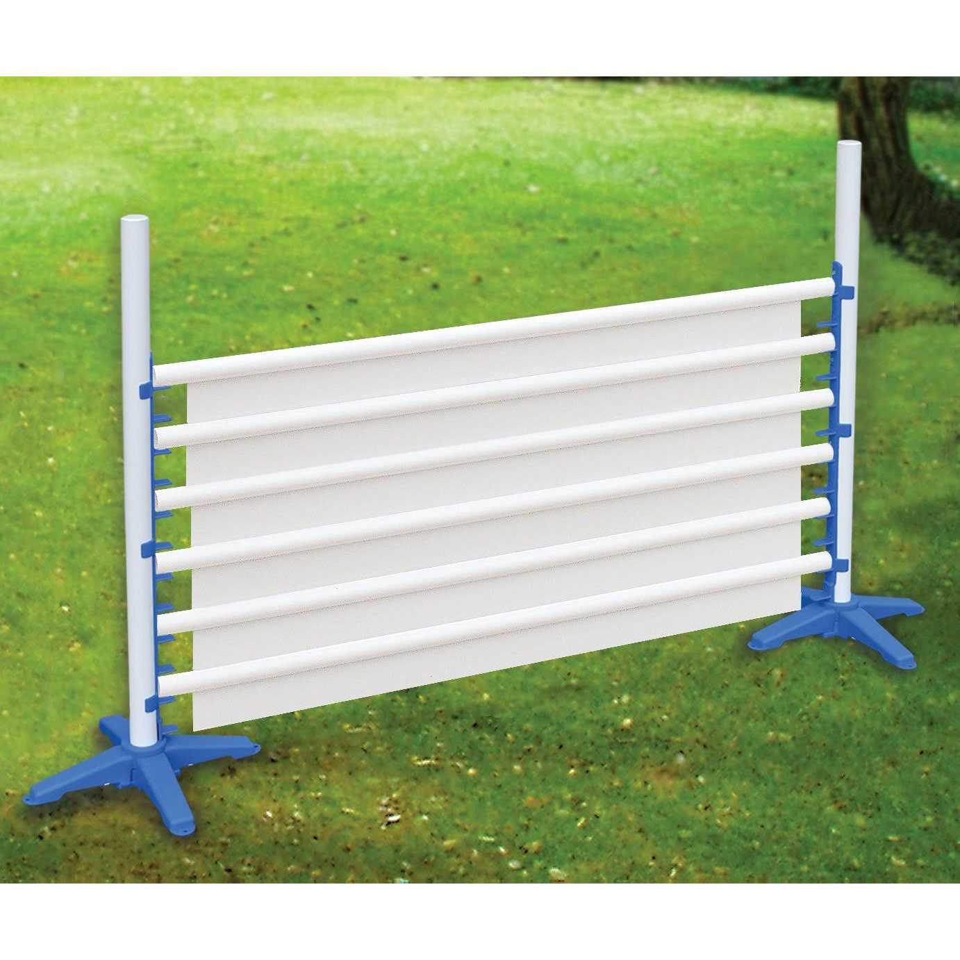 Agility Single and Panel Jumps