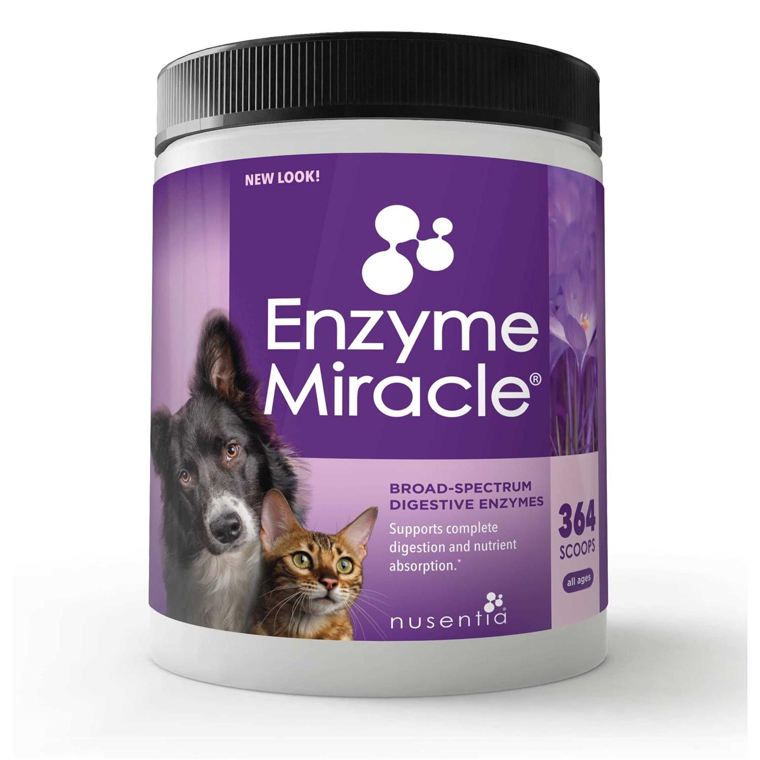 Enzyme Miracle Digestive