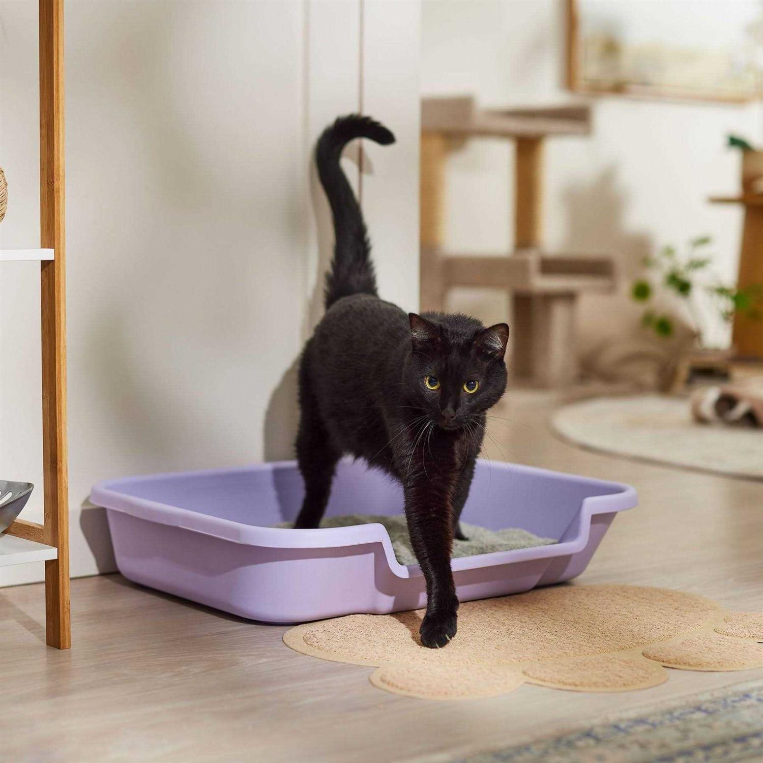 Kitty Go Here Senior Cat Litter Box