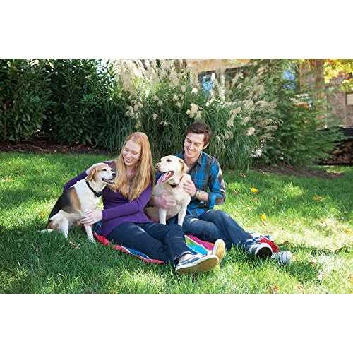 PetSafe Stubborn Dog Stay & Play Wireless Fence Receiver Collar