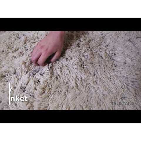 Tall Tails Dog Waterproof Blanket