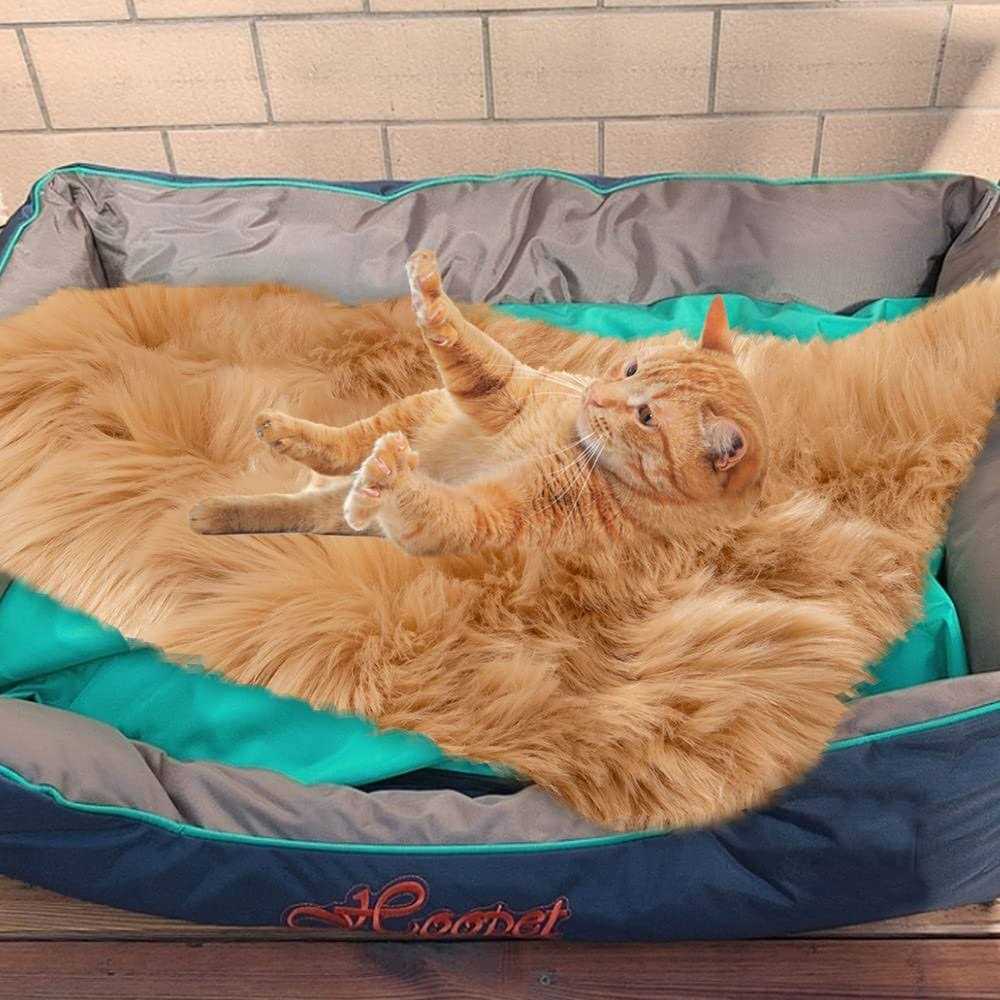 Asrug Soft Faux Fur Pet Bed Mat Plush and Fluffy Pet Pad Ultra Cozy Pet Throw Rug for Dogs Cats