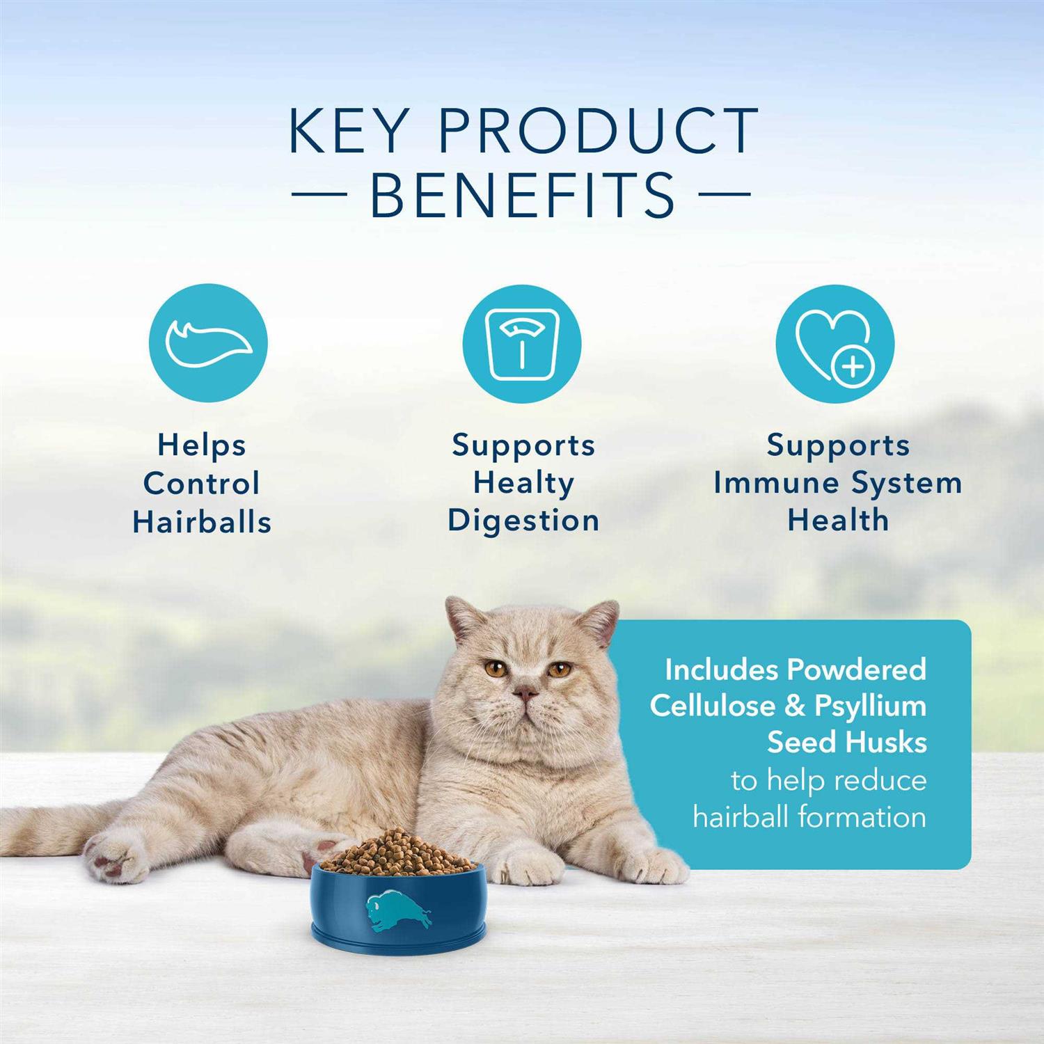 Blue Indoor Hairball Control Adult Dry Cat Food
