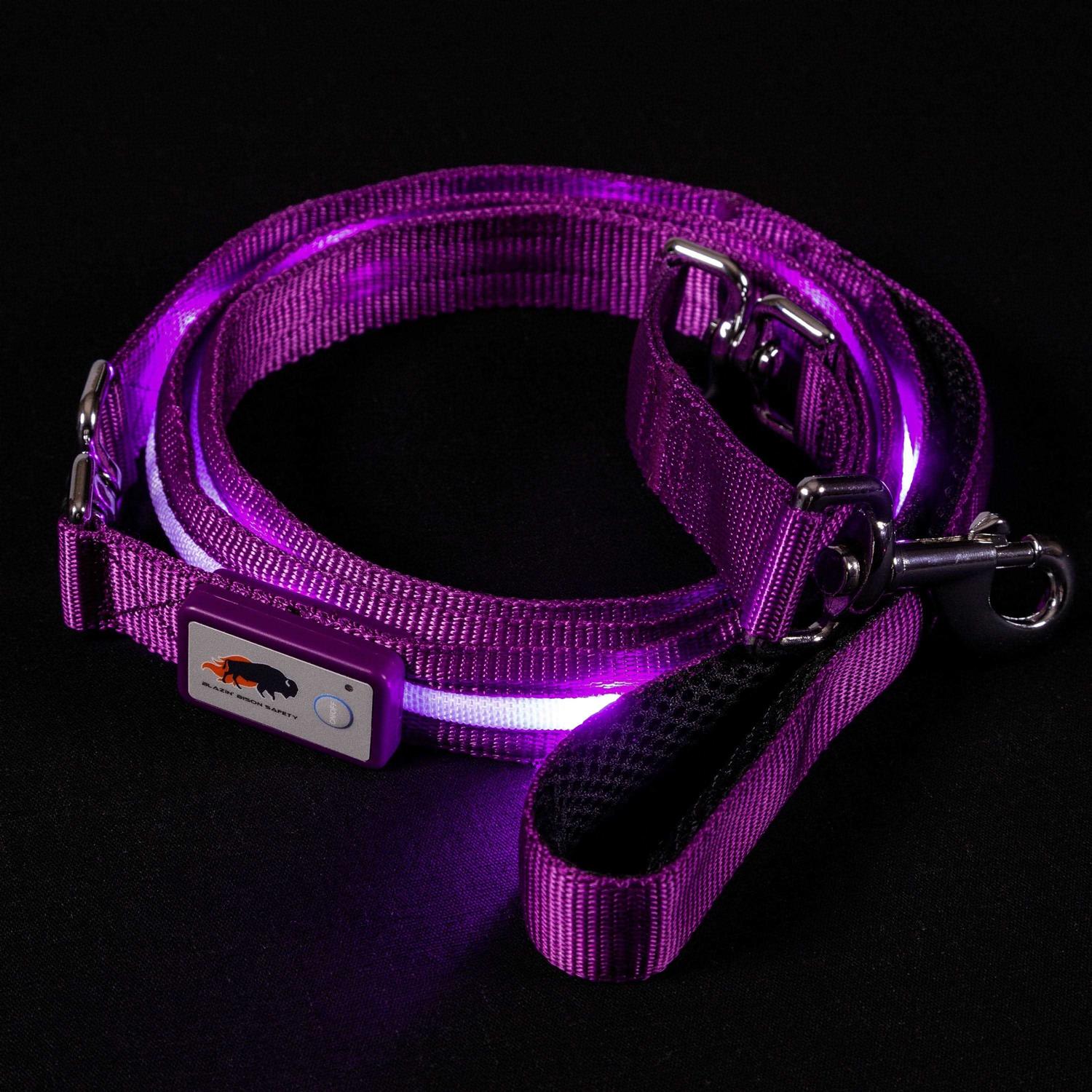 Blazin Safety LED Dog Leash USB Rechargeable Flashing Light