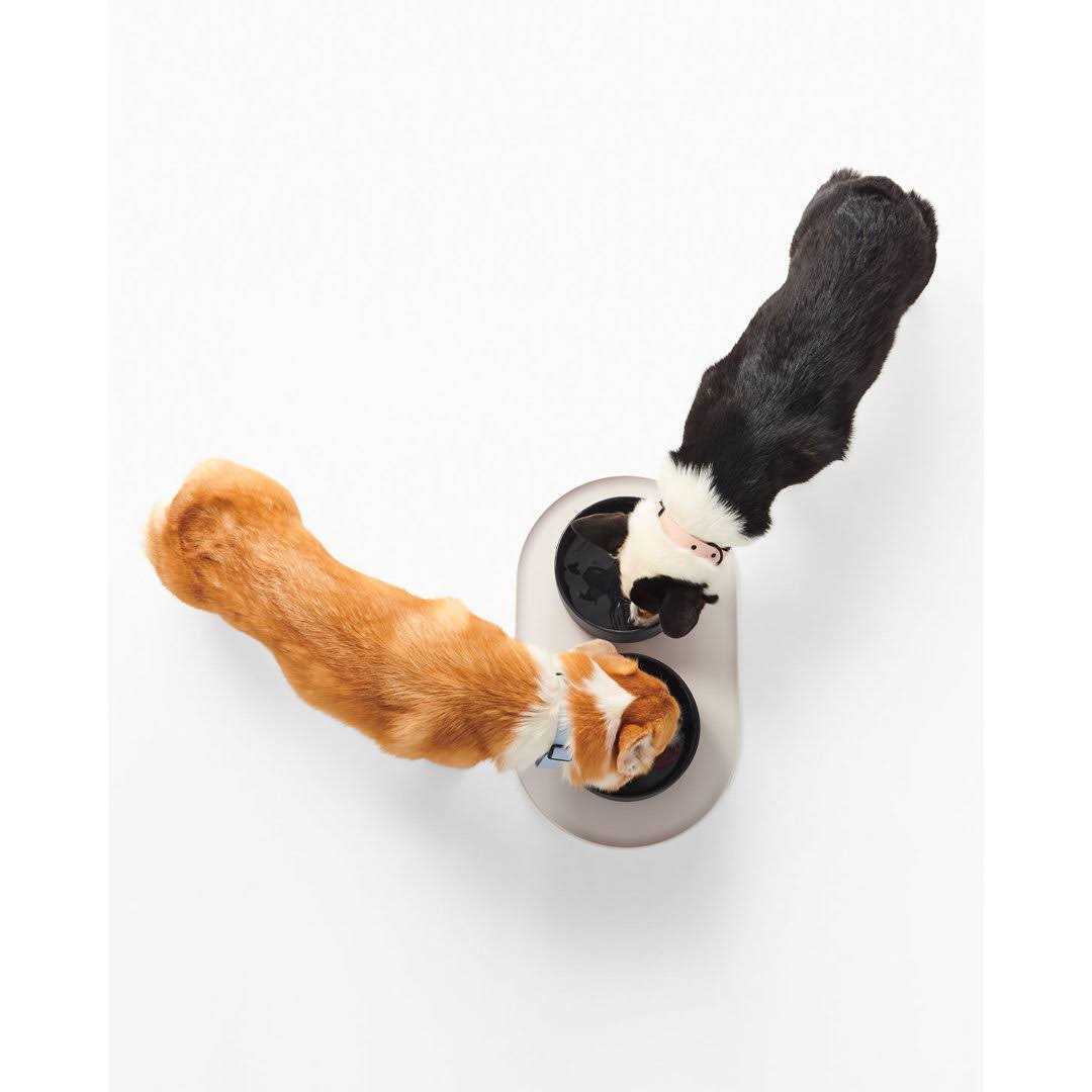 Fable Pets Signature Dog Bowl Mat