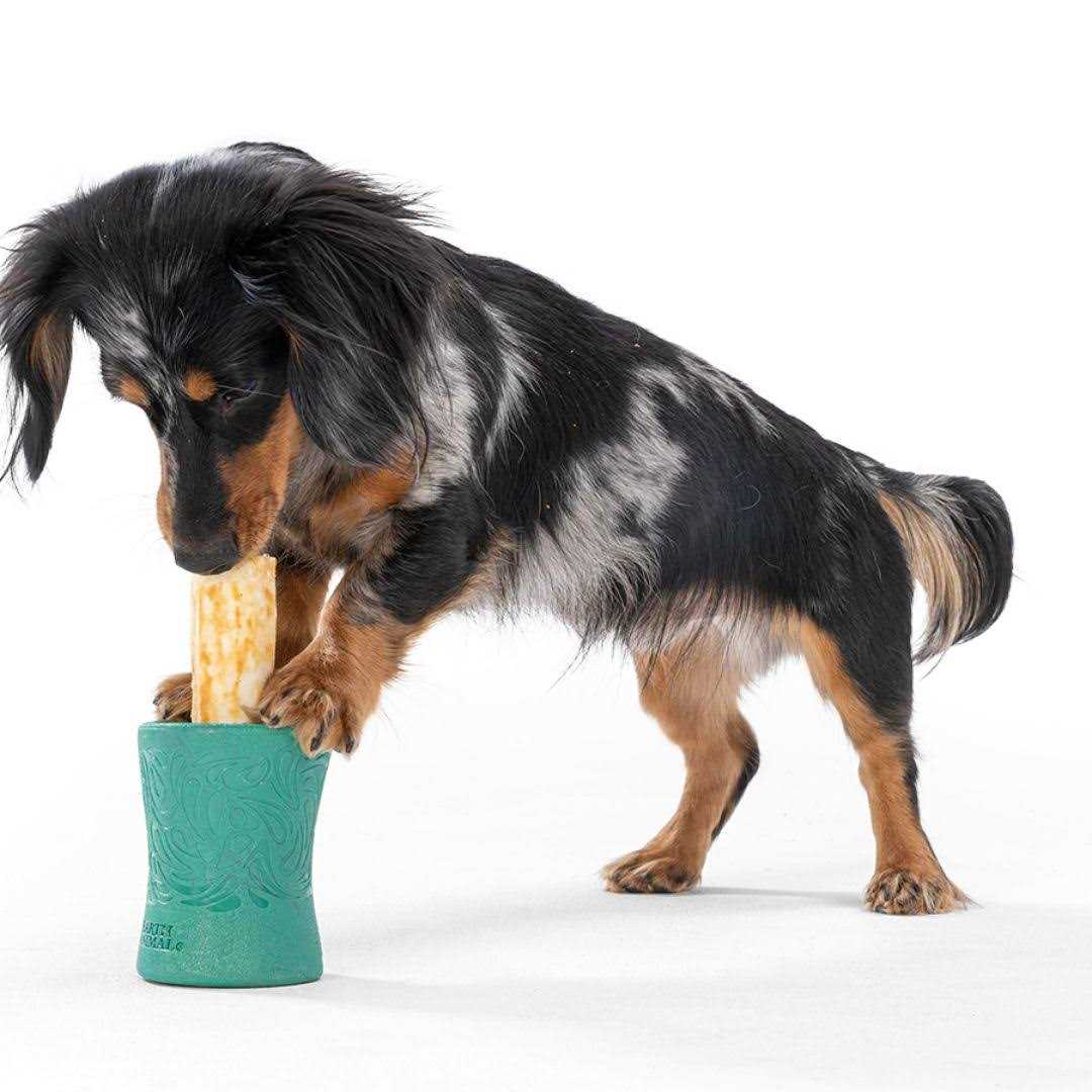 West Paw Funnl Dog Toy