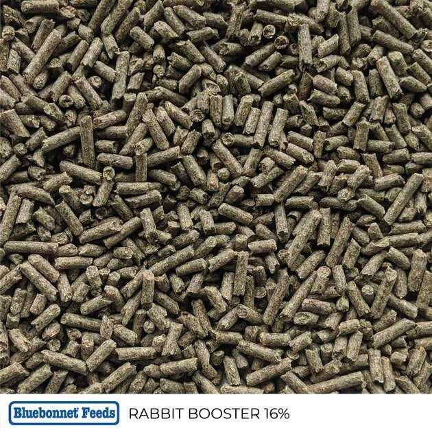 Bluebonnet Feeds Rabbit Booster 16% 175004-AD