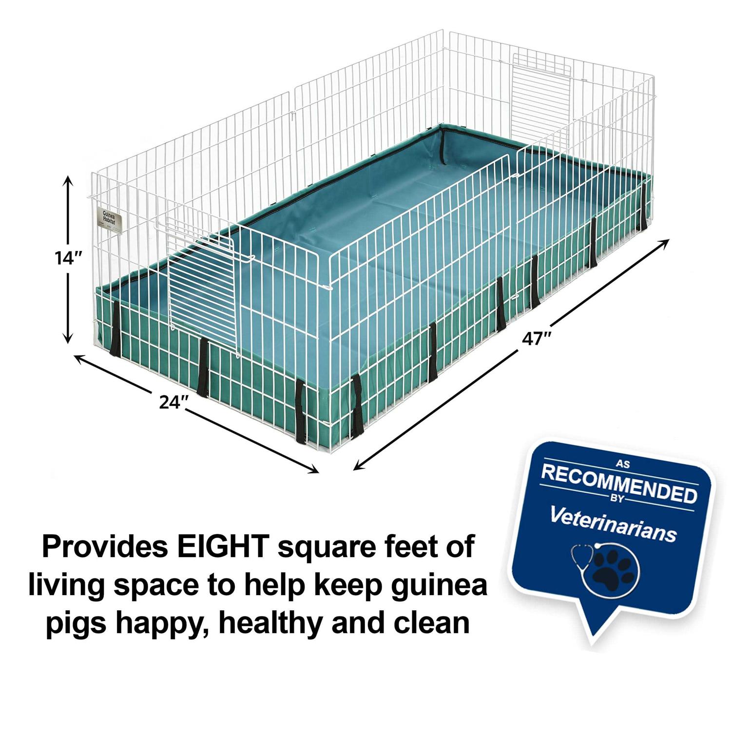 Guinea Habitat Guinea Pig MidWest