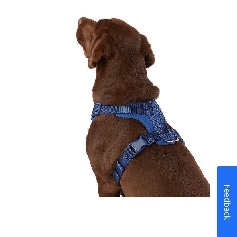 Top Paw Neoprene Comfort Dog Harness