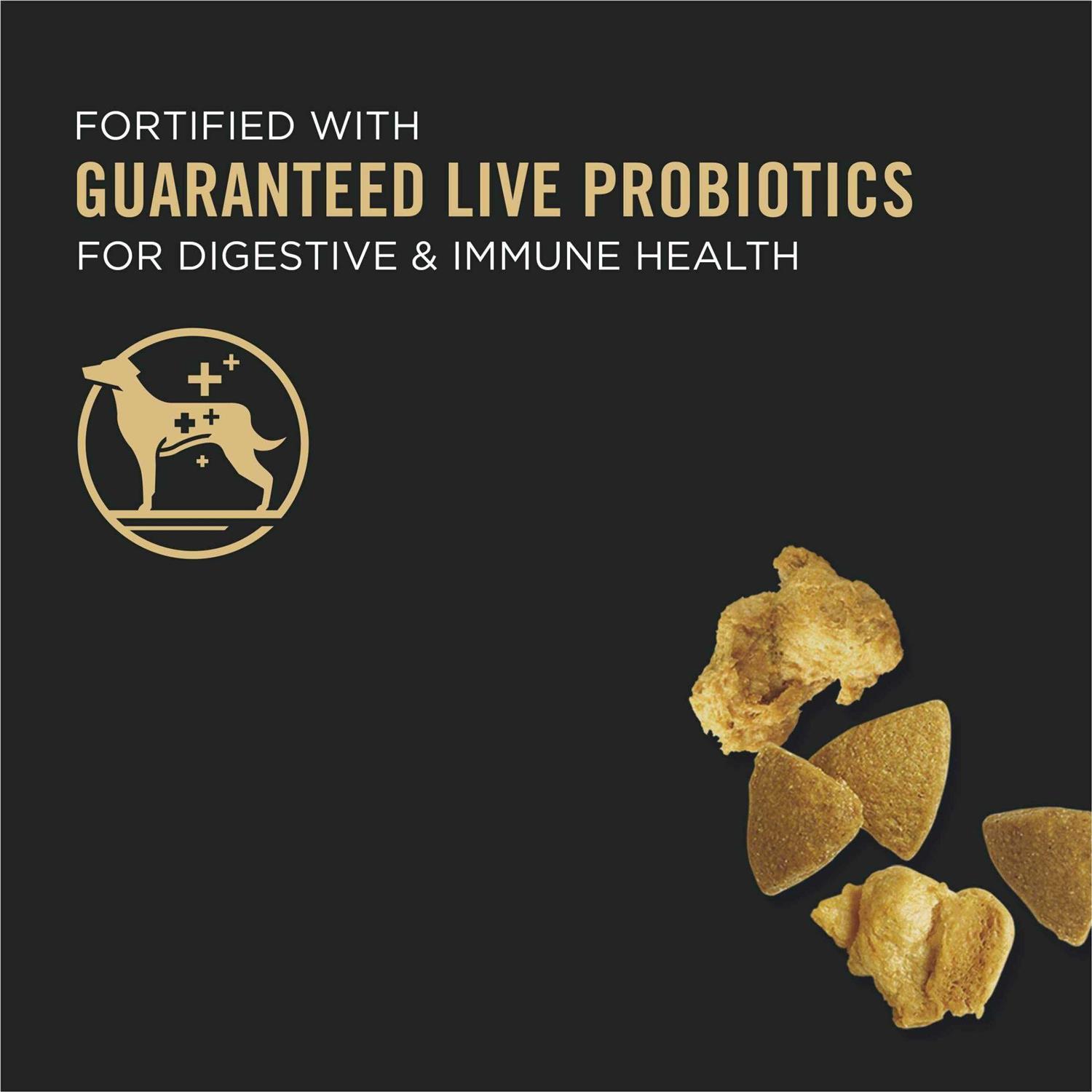 Purina Pro Plan Calm & Balanced Adult Chicken & Rice Formula Dry Dog Food