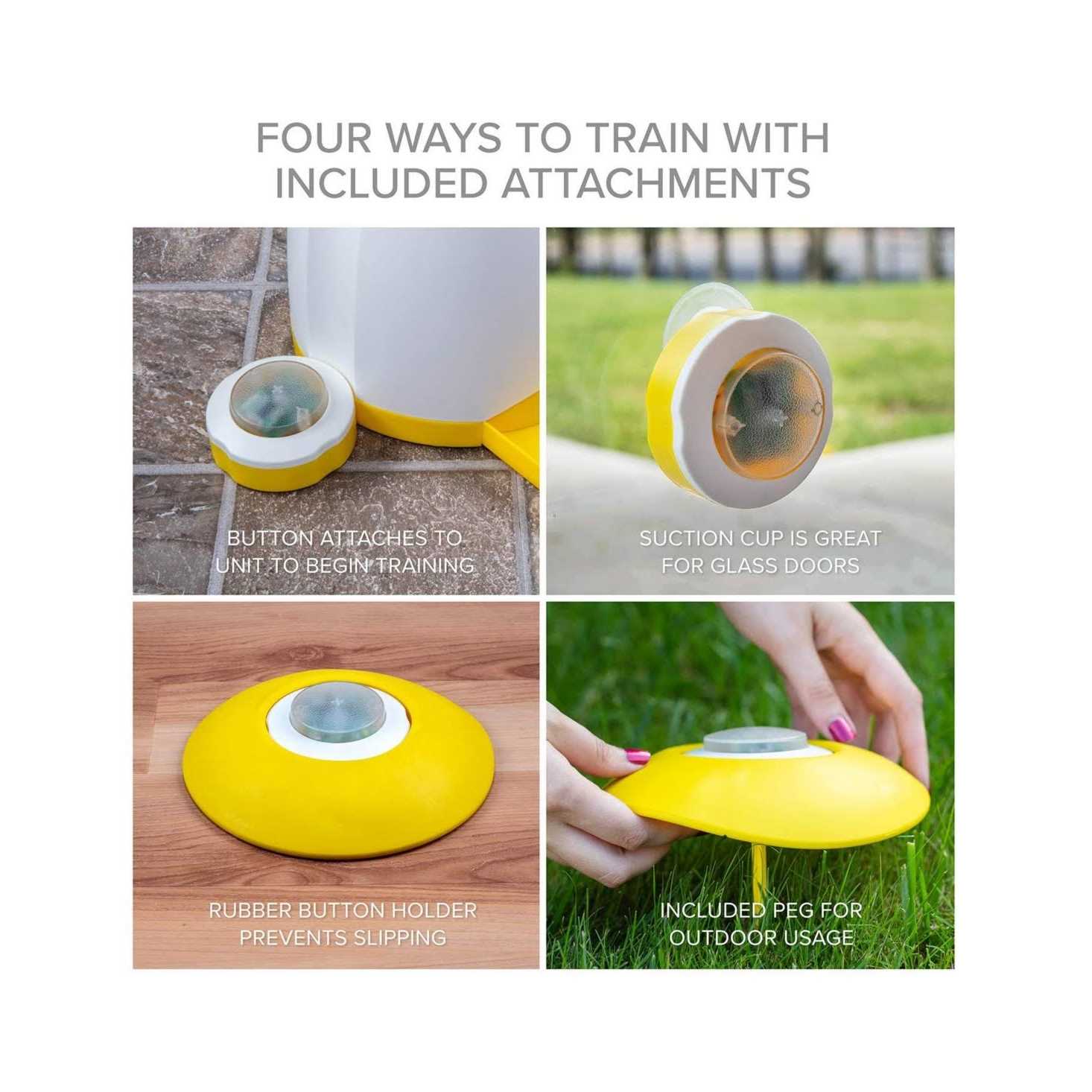 Arf Pets Memory & Training Activity Dog Treat Dispenser