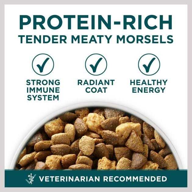 Purina ONE Large Breed Dry Puppy Food