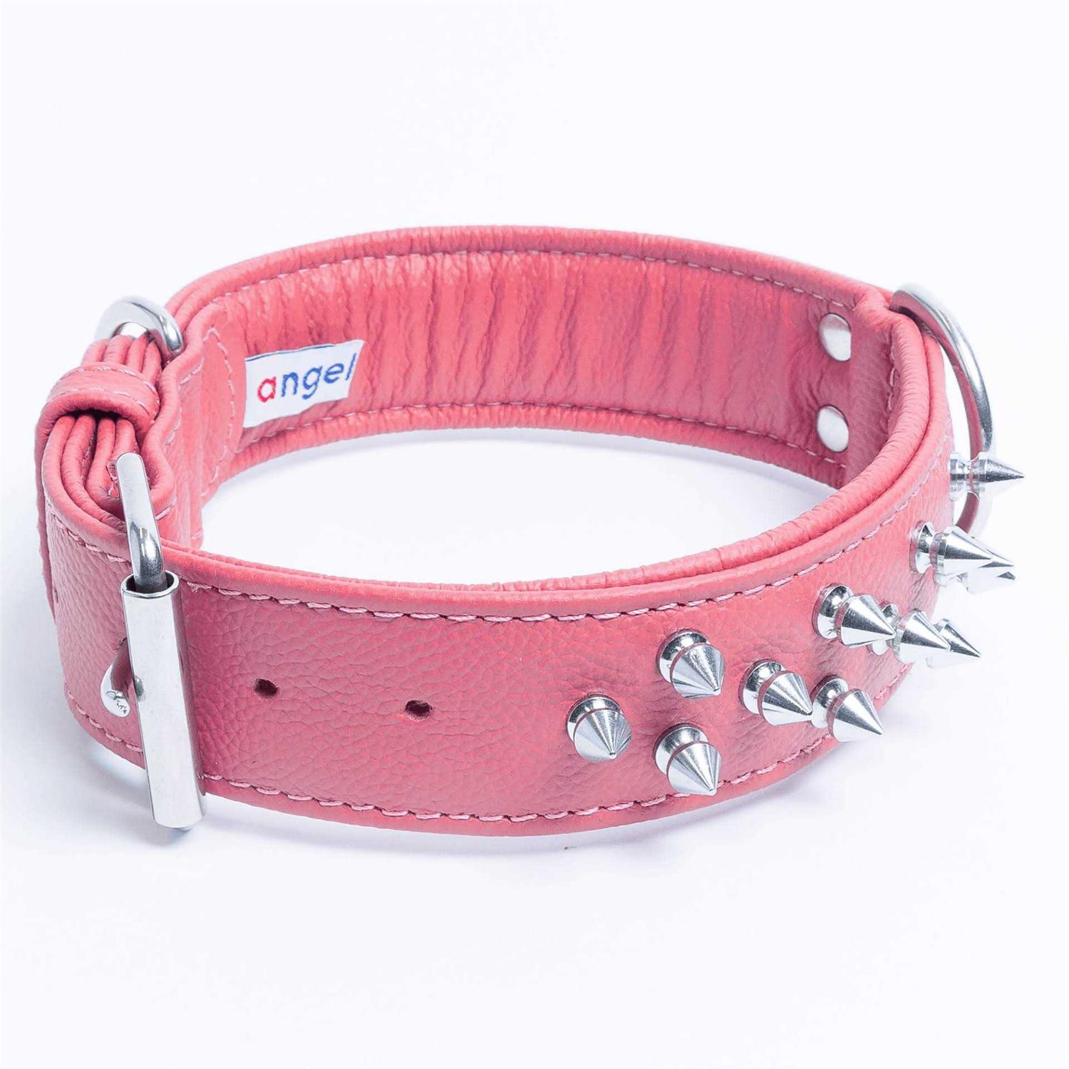 Amsterdam Dog Collar Spiked