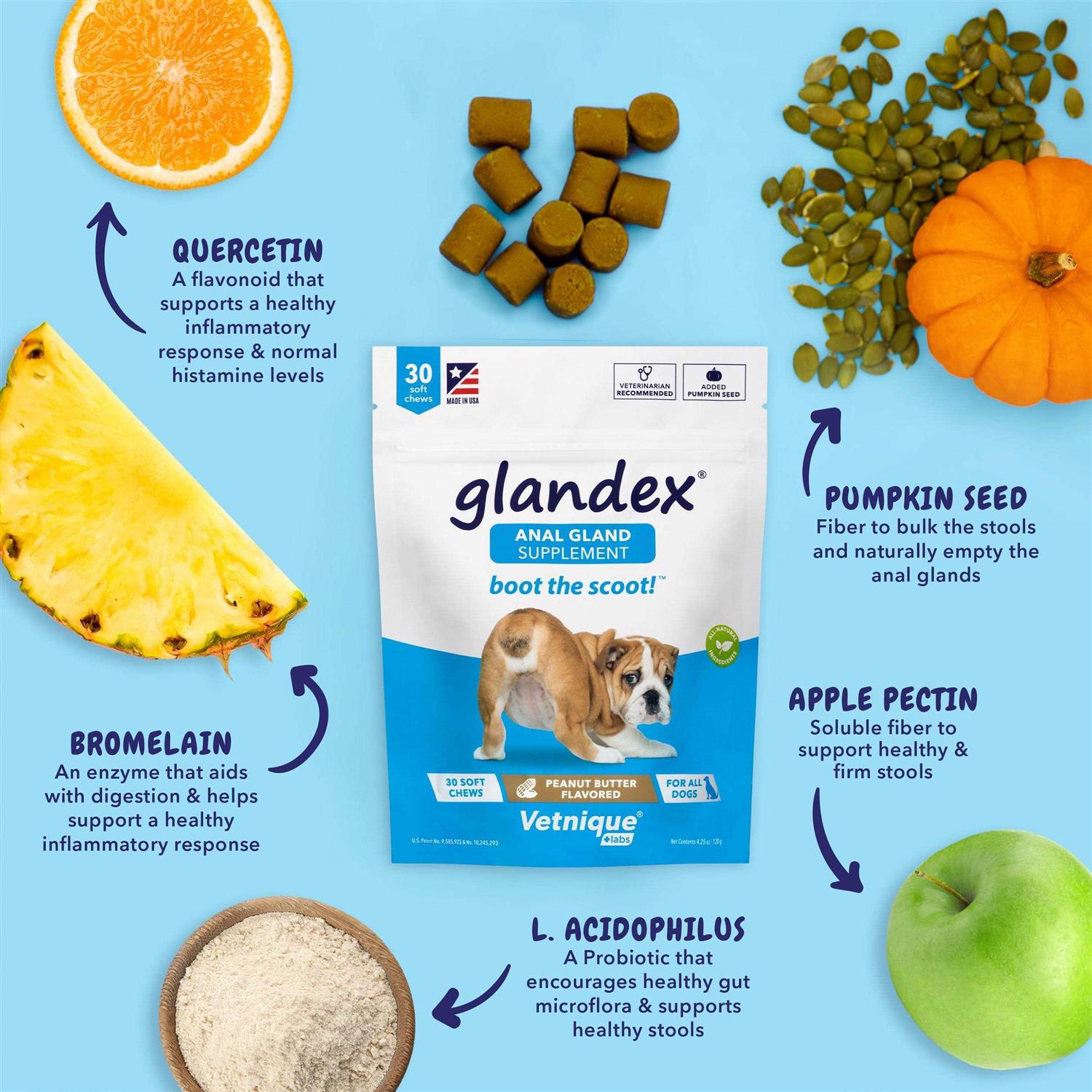 Glandex Anal Gland Soft Chews Supplement for Dogs