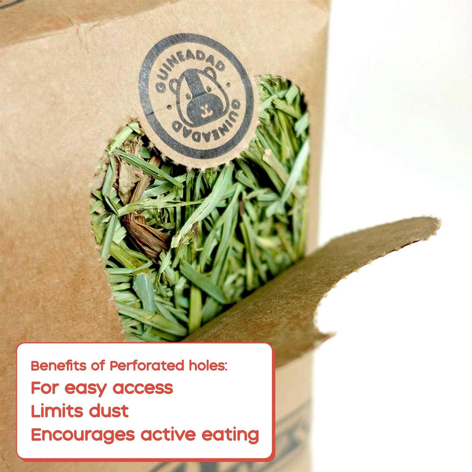 Guineadad Timothy Hay for Guinea Pigs Rabbits