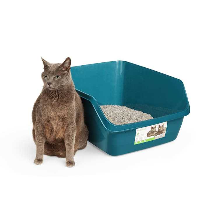 So Phresh Scatter Shield High-Back Litter Box