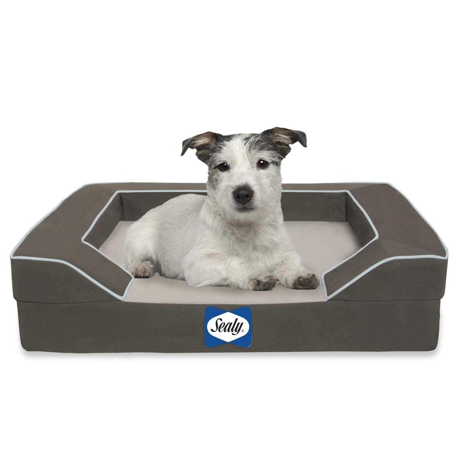 Sealy Lux Orthopedic Memory Foam Dog Bed