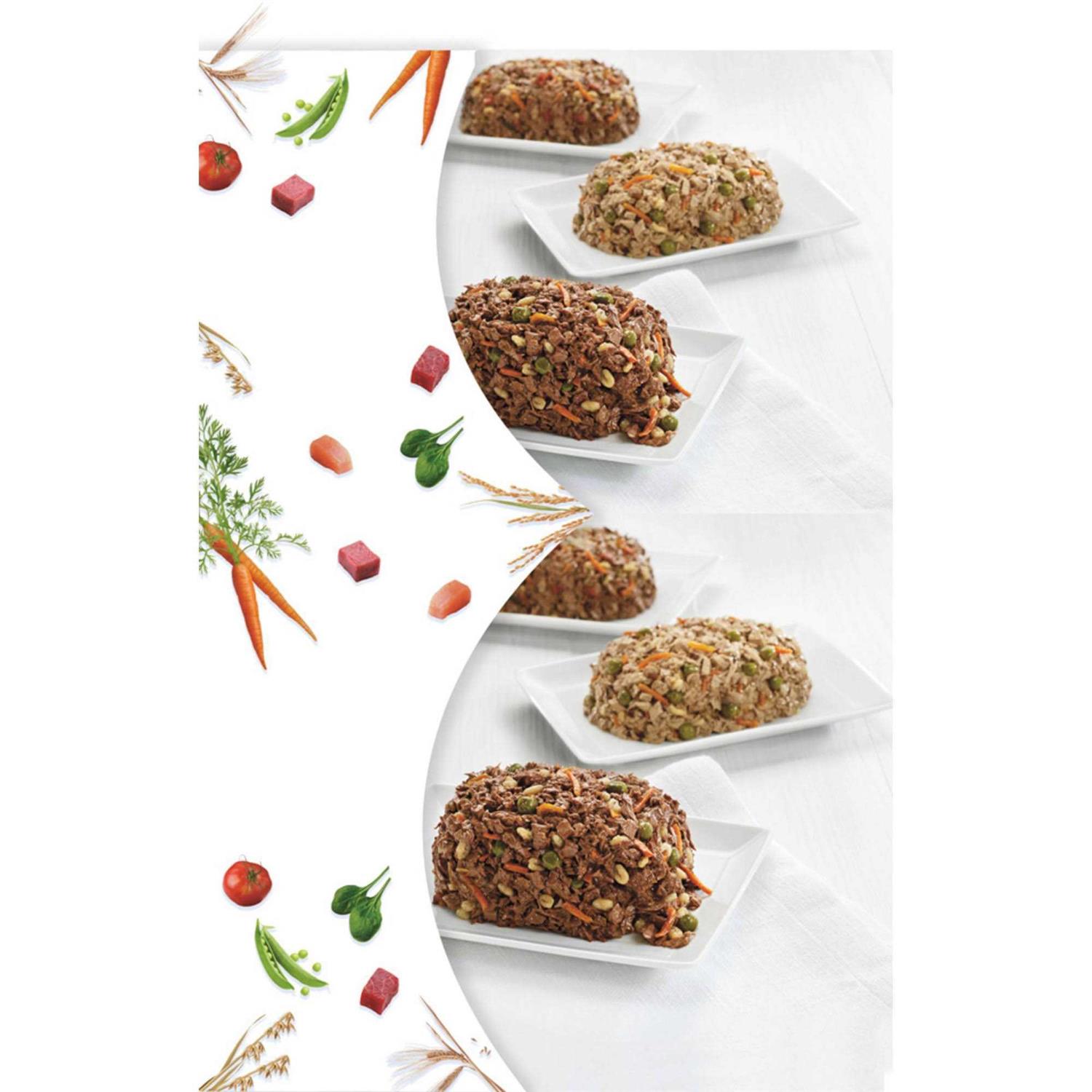 Purina Beneful Chopped Blends Variety Pack Wet Dog Food