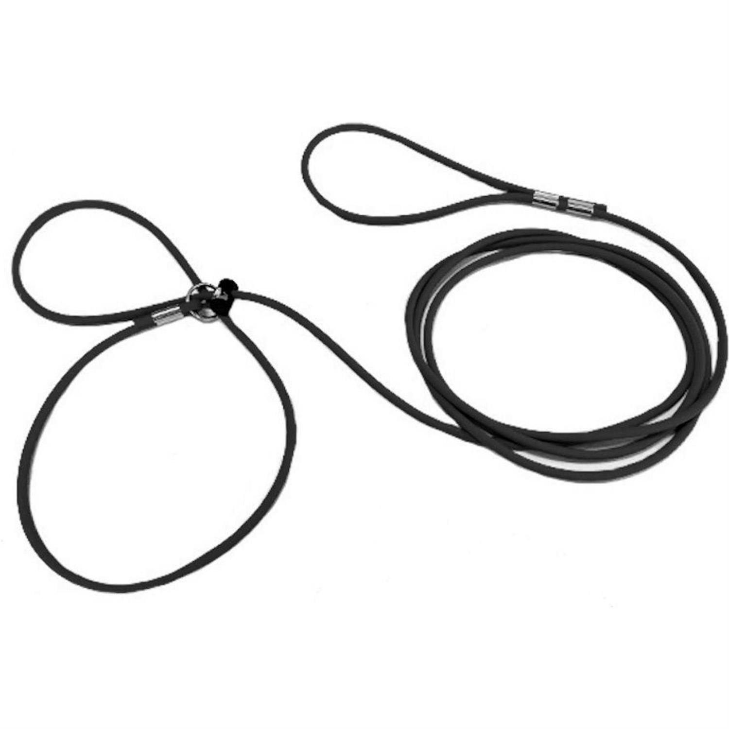 Piggy Poo and Crew Adjustable Mini Pig Harness and Leash