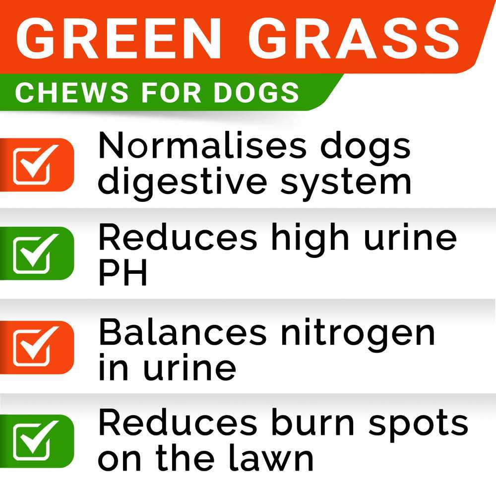 StrellaLab Grass Burn Spot Chews for Dogs