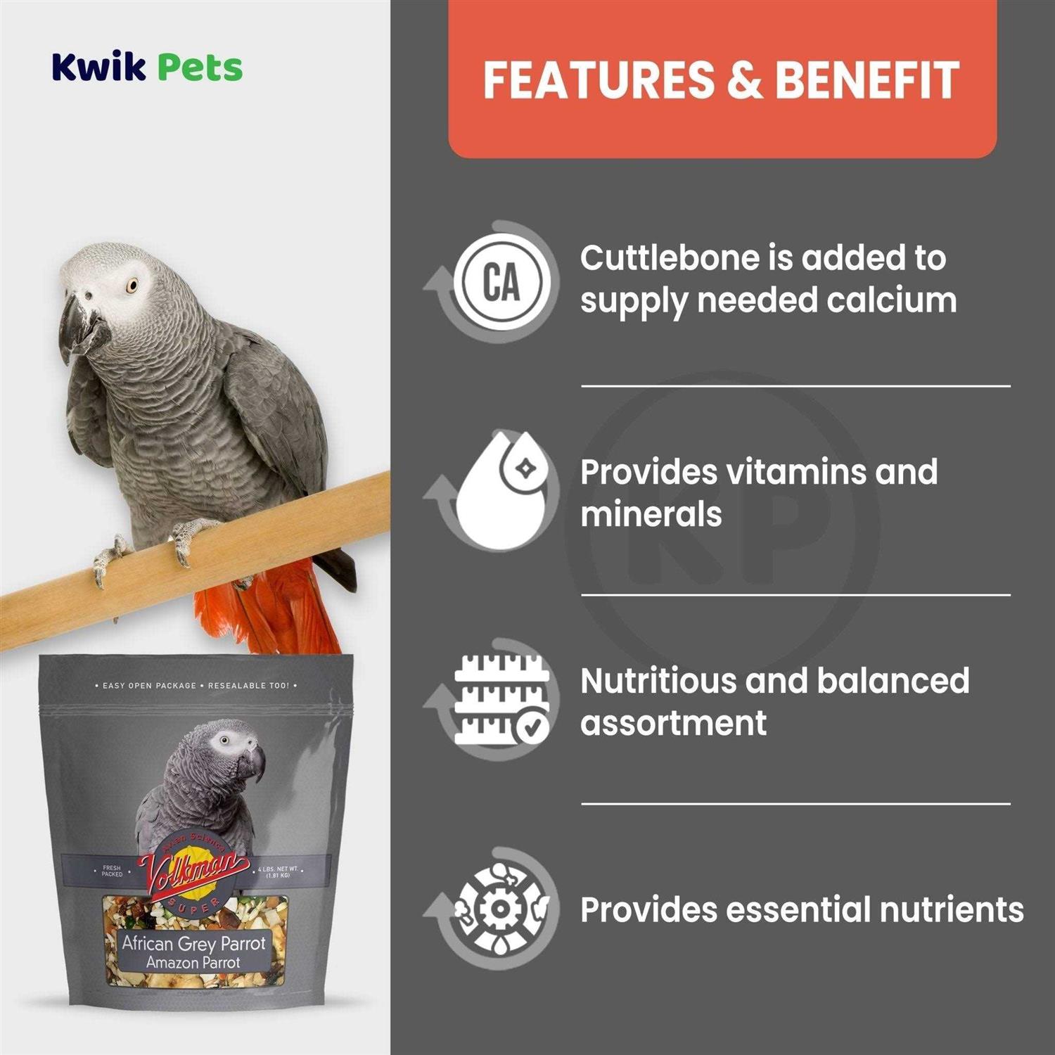 Volkman Avian Science Super African Grey