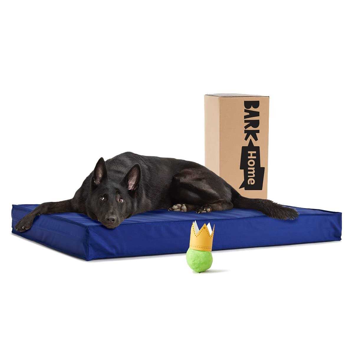 Barkbox Outdoor Dog Bed Waterproof Dog or Cat Mattress Bed with Removable Cover