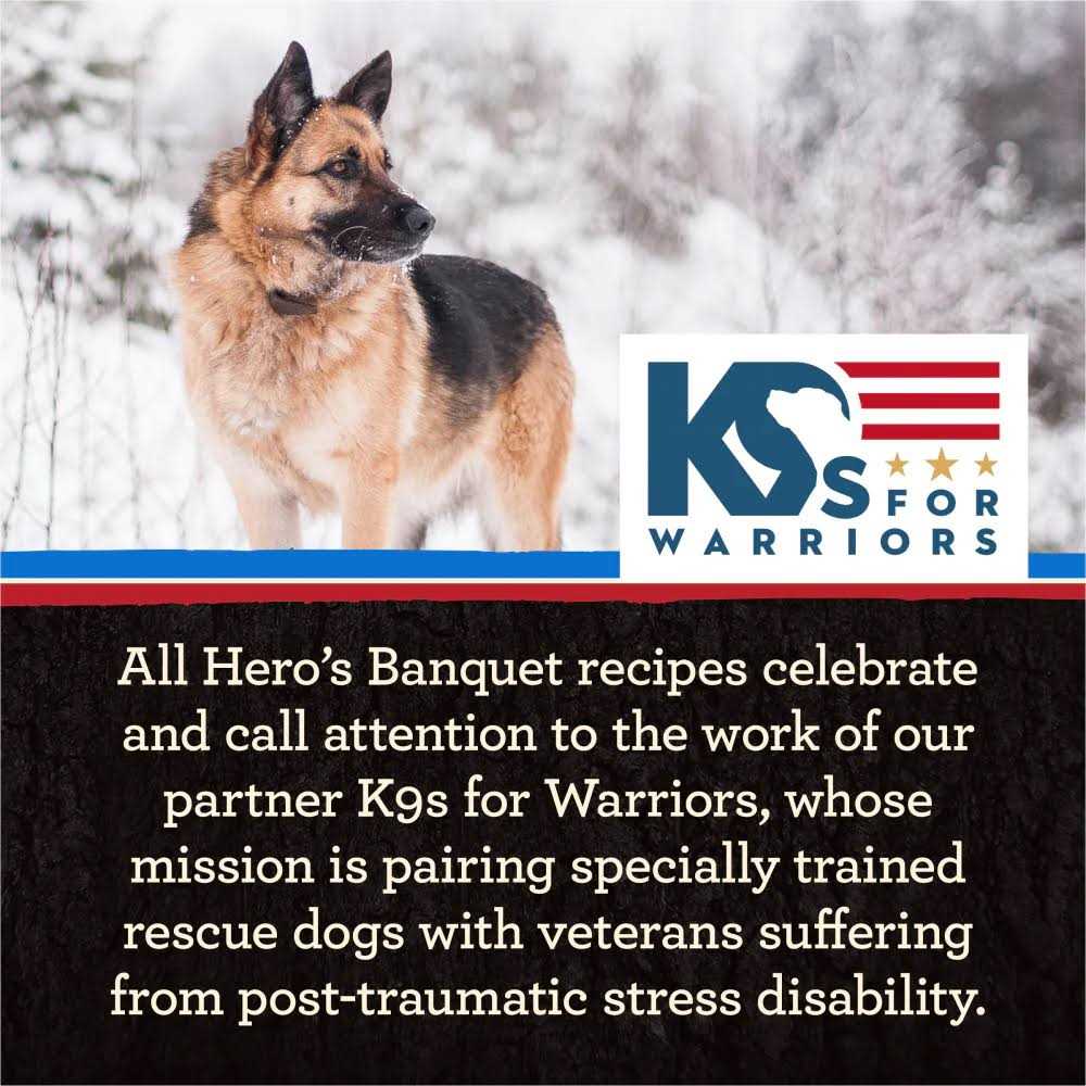 Merrick Backcountry Grain Free Raw Infused Recipe Dry Dog Food