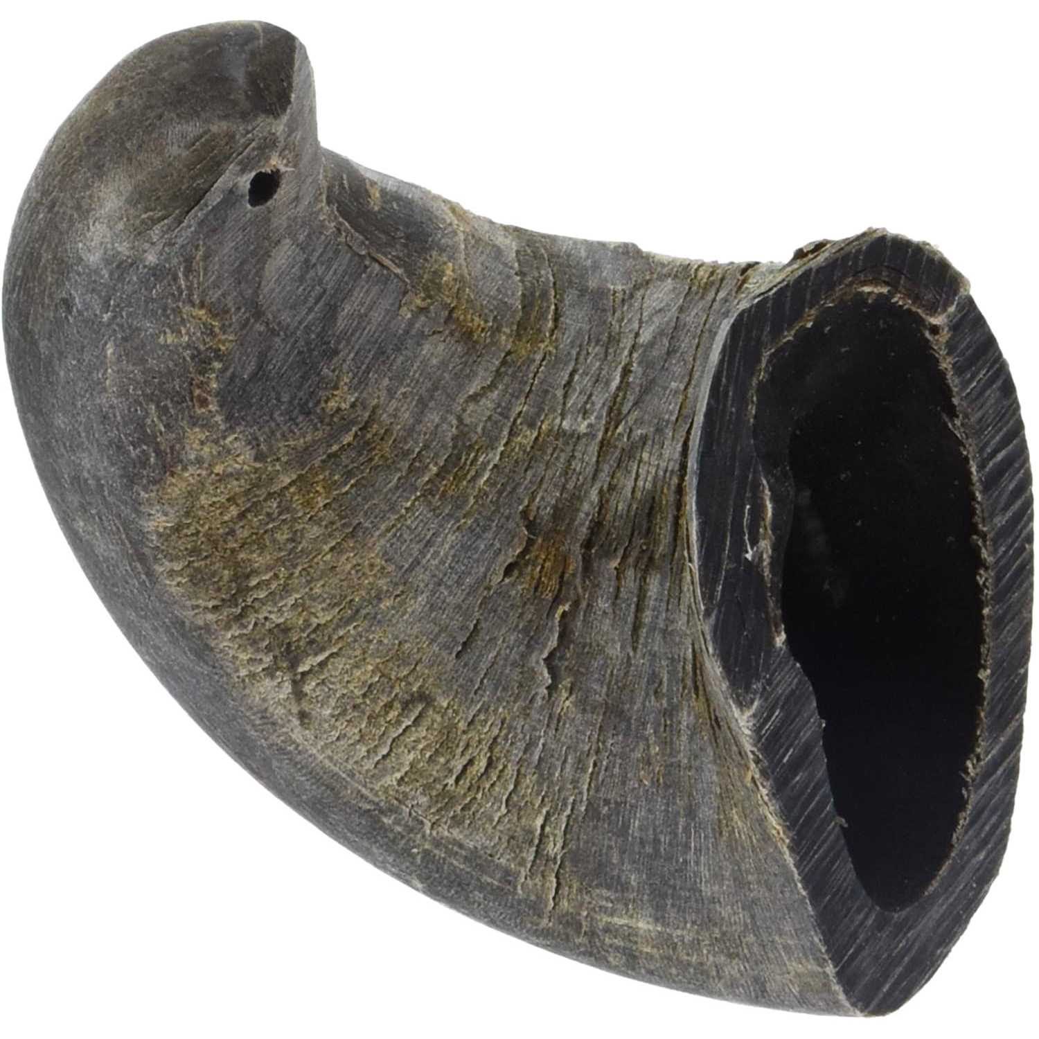 QT Dog Water Buffalo Horn Small