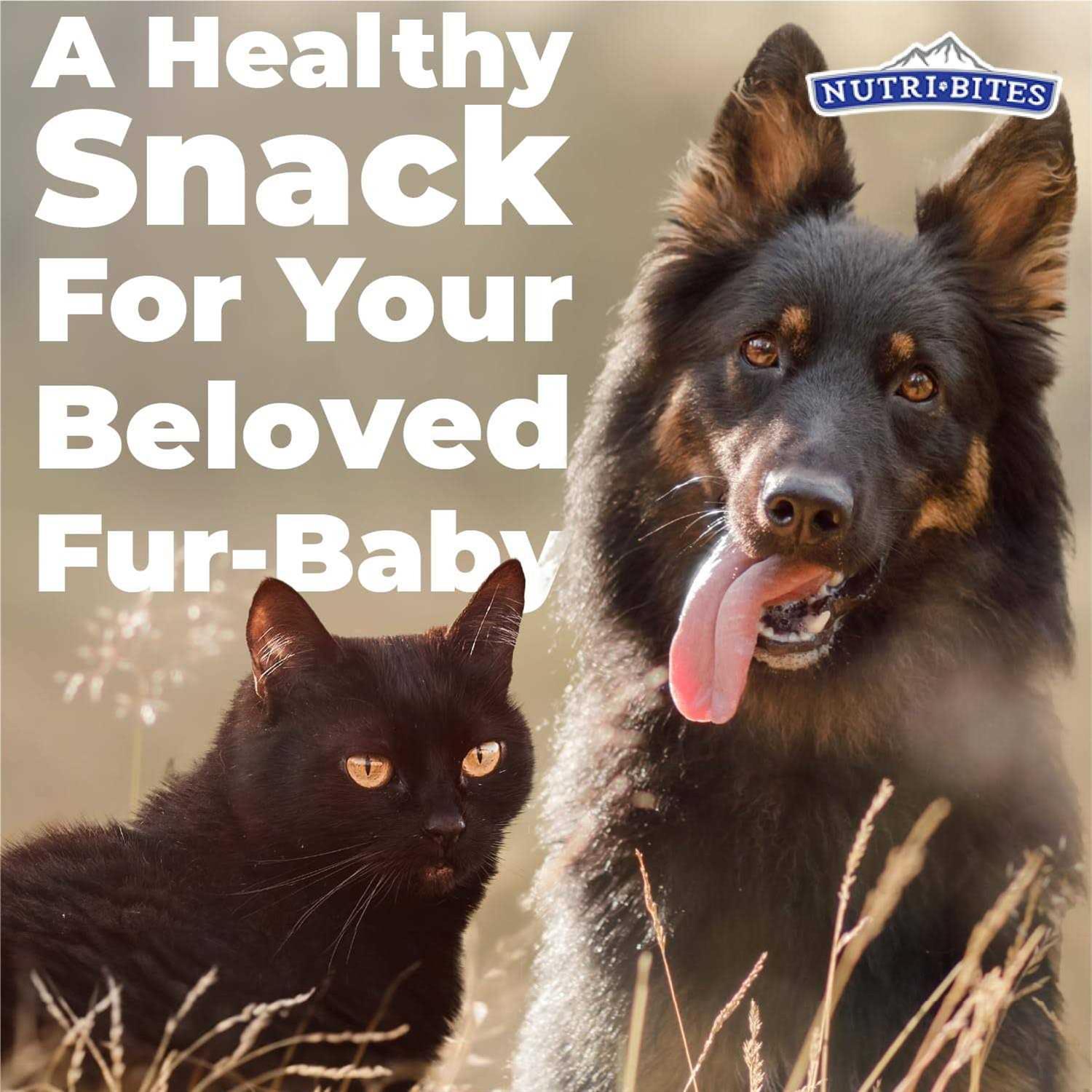 NutriBites Freeze Dried Beef Liver High Protein Dog & Cat Treats