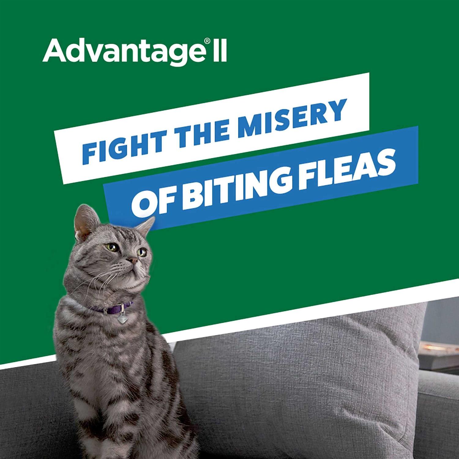 Advantage II Flea Treatment Small Cats