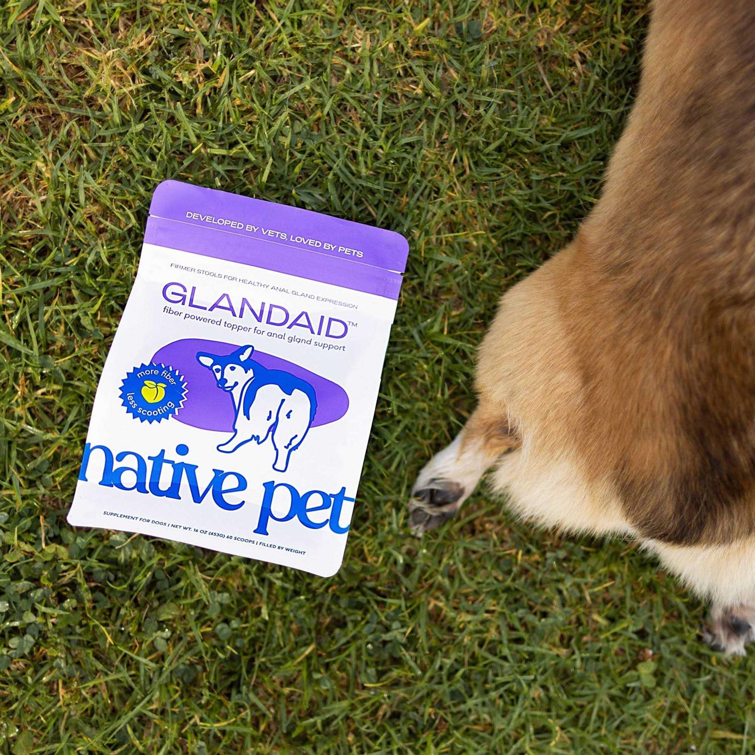 Native Pet GlandAid Anal Gland Supplement for Dogs