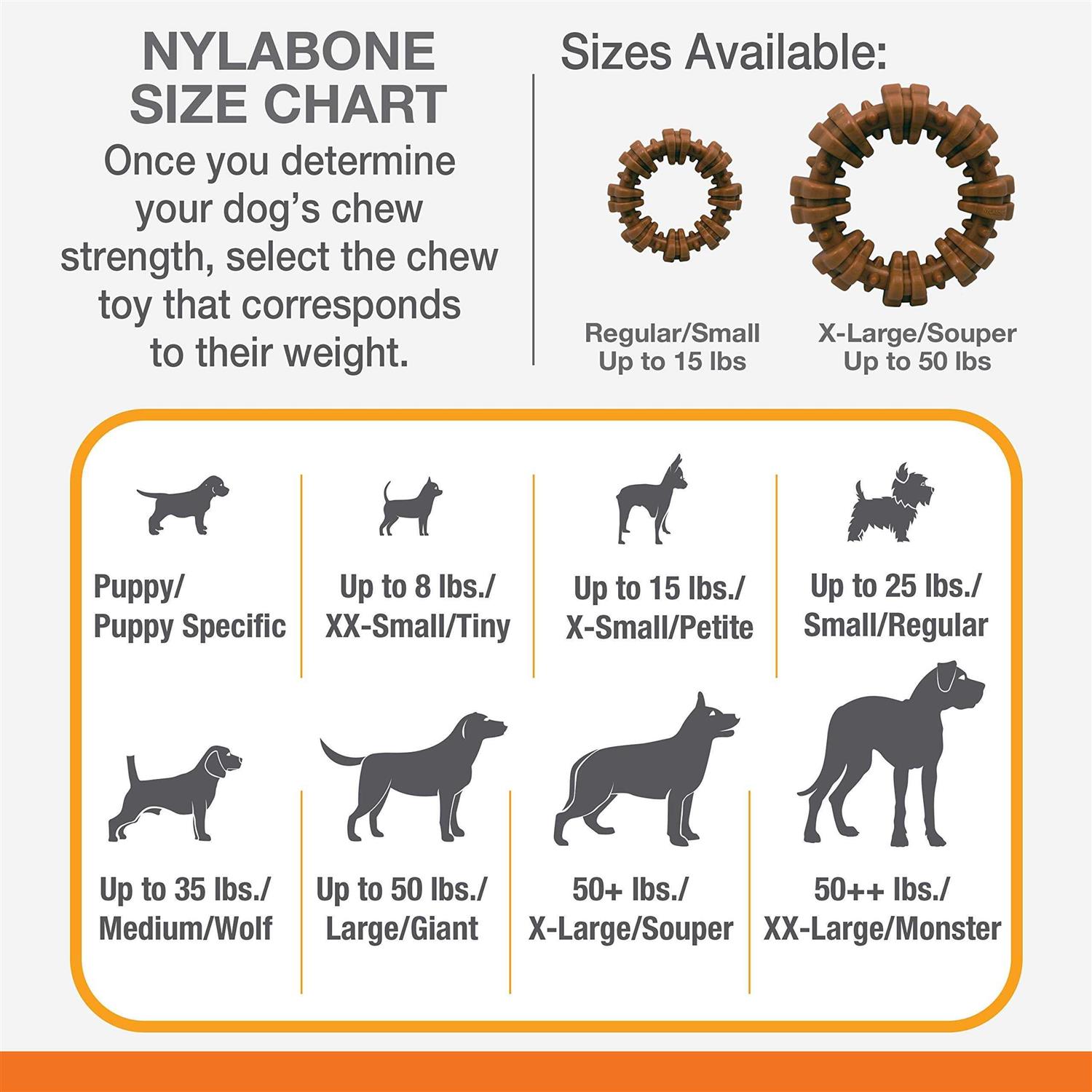 Nylabone Power Chew Customer Favorites Dog Chew Toy Bundle Customer Favorites Bundle Variety