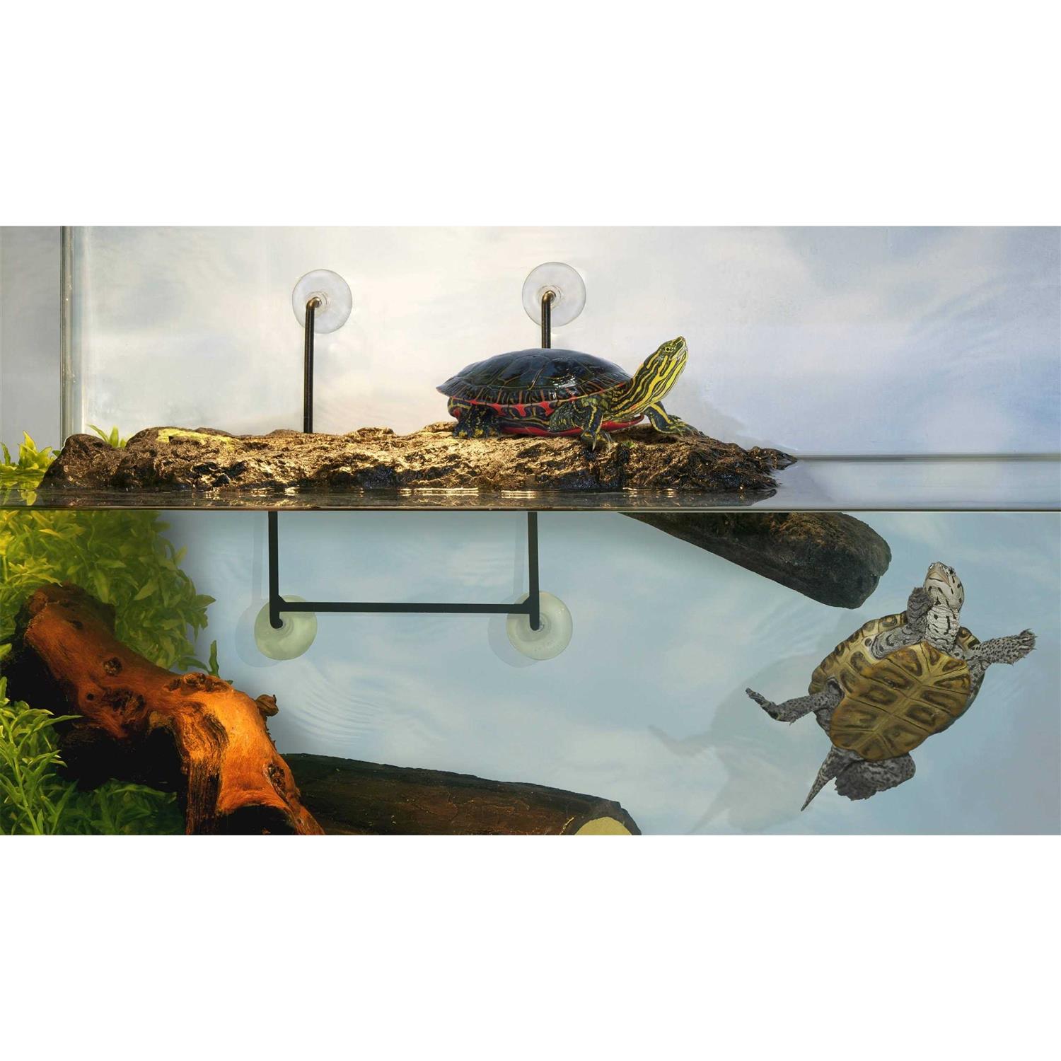 Zoo Med Turtle Dock